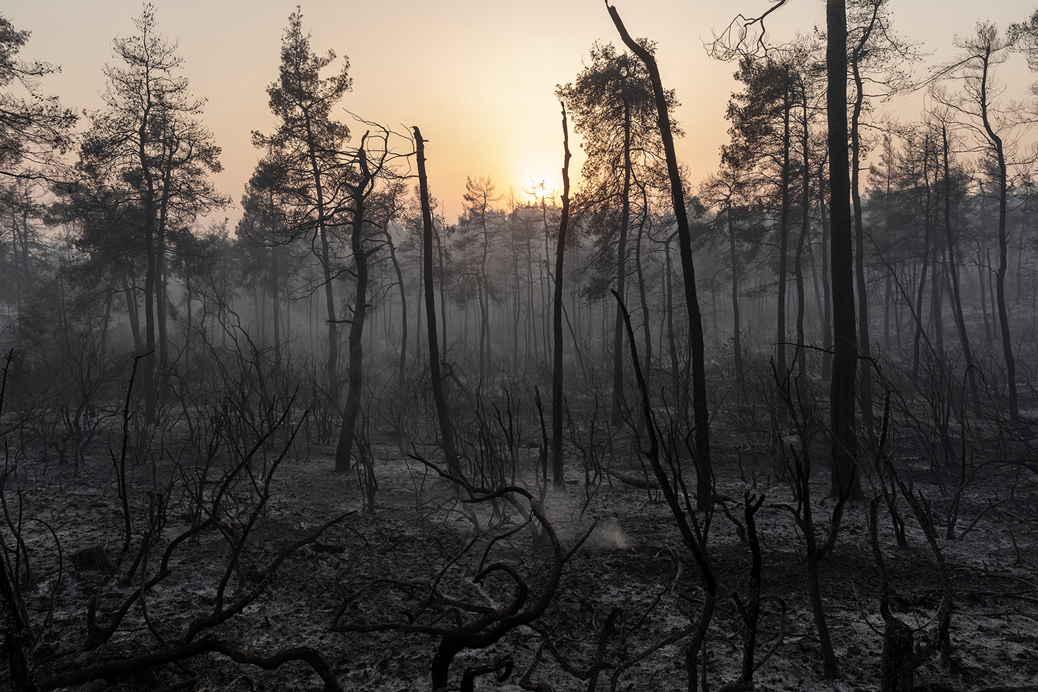 Konstantinos-Tsakalidis-401-Sunset-on-the-Ashes