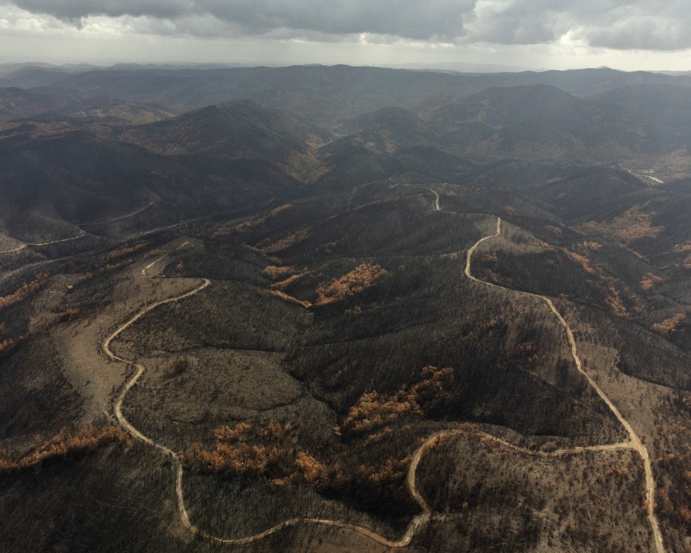 Landscapes of a Changing Environment-03