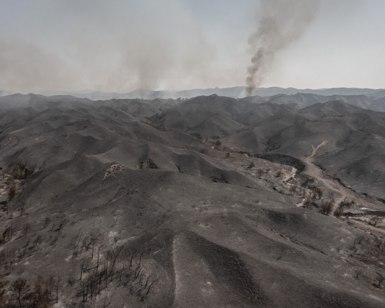 Landscapes of a Changing Environment-06