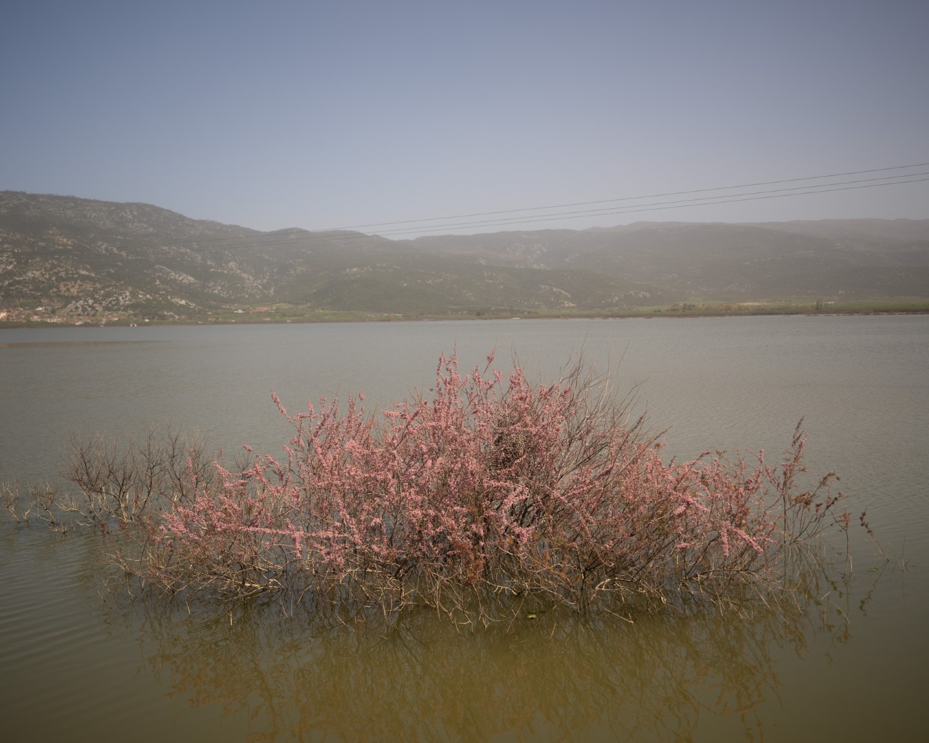 Landscapes of a Changing Environment-13