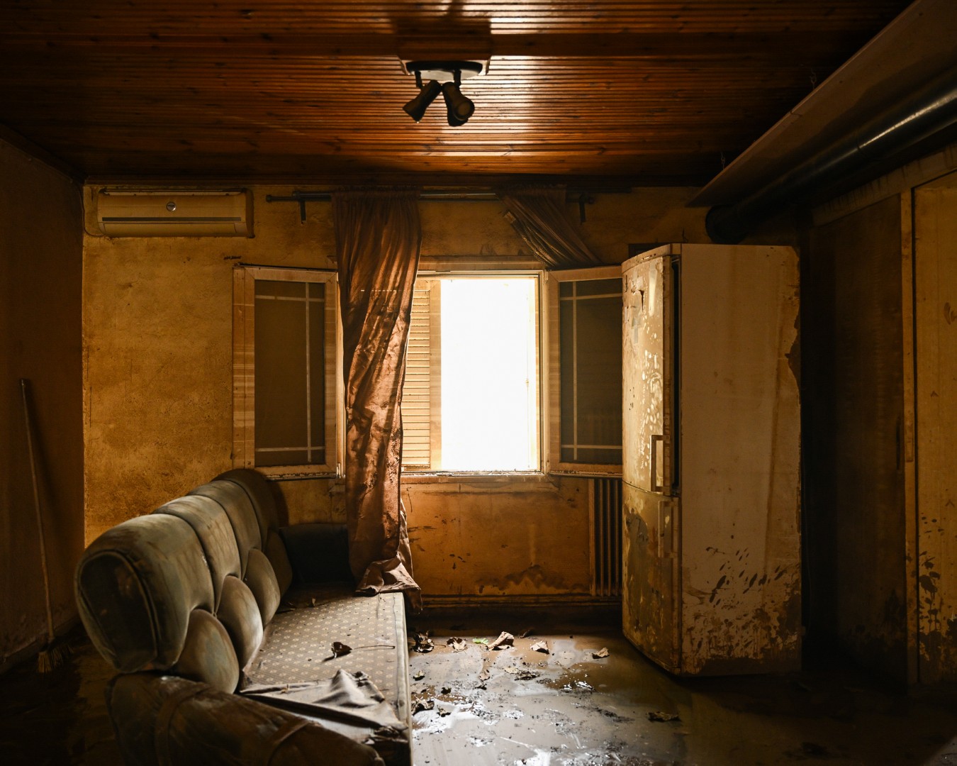 Landscapes of a Changing Environment-14