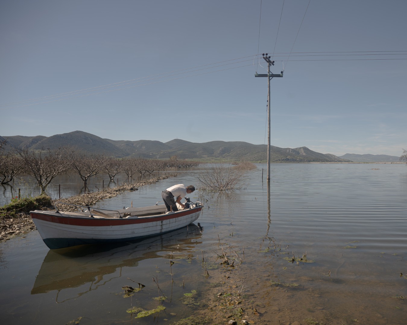 Landscapes of a Changing Environment-15