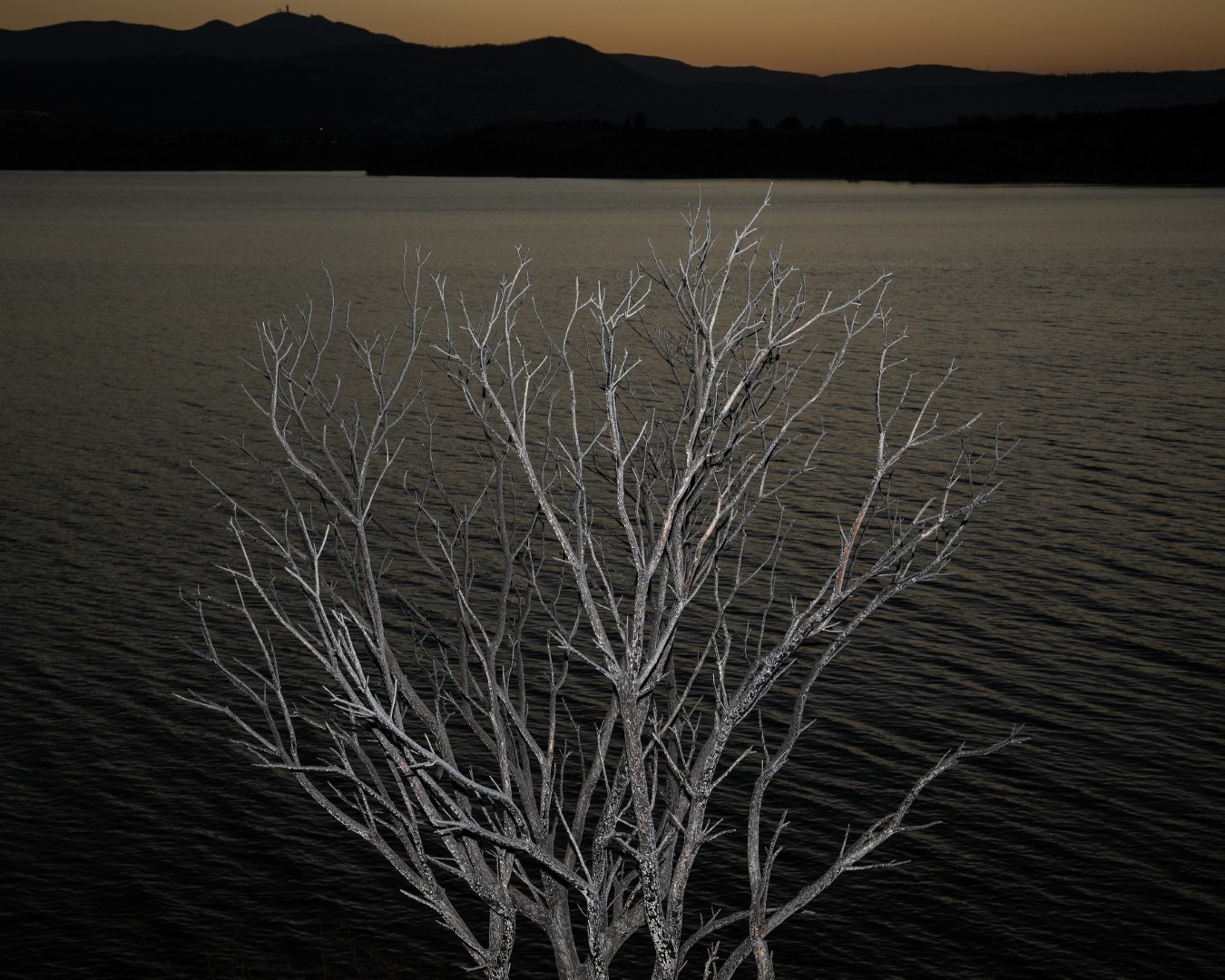 Landscapes of a Changing Environment-18